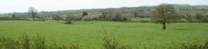 Photo of a field and trees in the Peak District, England